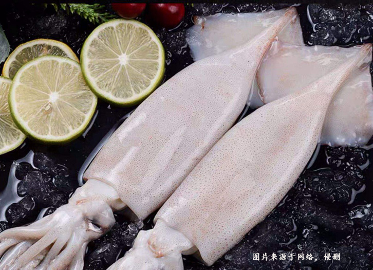 海南楊浦港進口巴基斯坦魷魚報關(guān)資料冷凍水產(chǎn)品案例